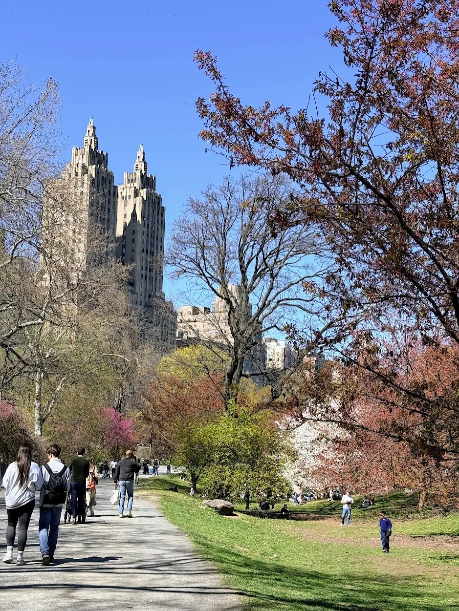 A Perfect New York Day: The Met, Central Park, and The Plaza